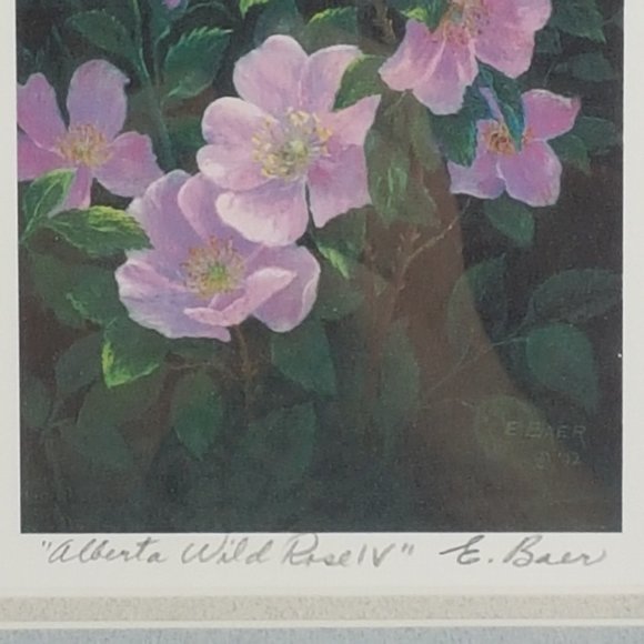 Framed Art Prints Alberta Wild Rose IV and Alberta Wild Rose VI by Elsie Baer - Picture 15 of 16